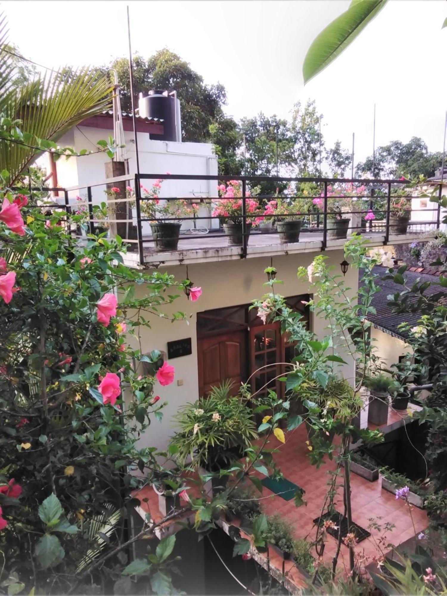Araliya Home Stay Канди Экстерьер фото