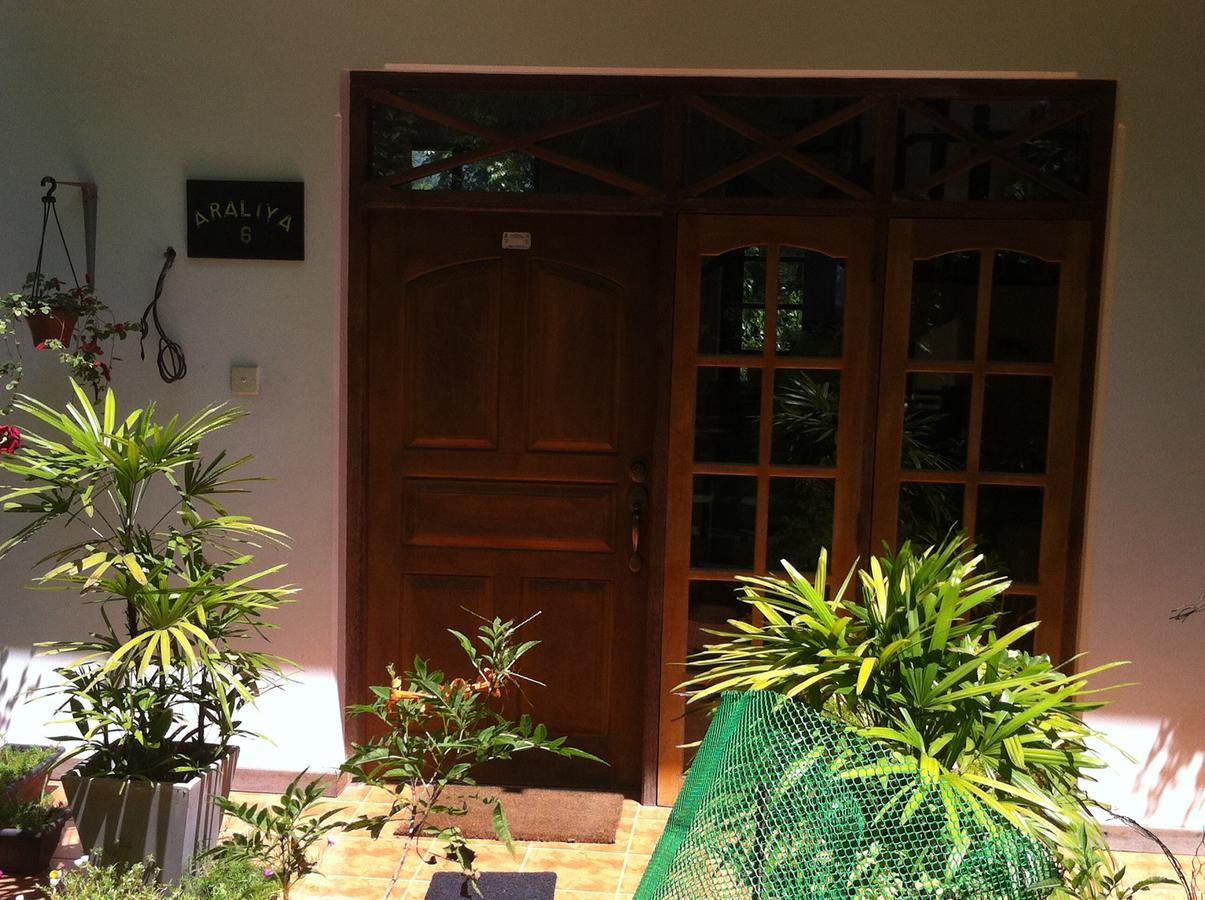 Araliya Home Stay Канди Экстерьер фото