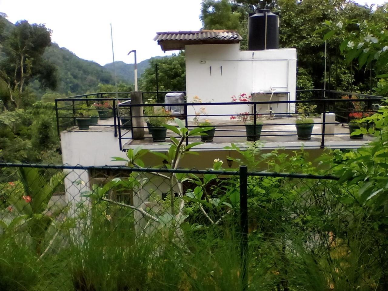 Araliya Home Stay Канди Экстерьер фото